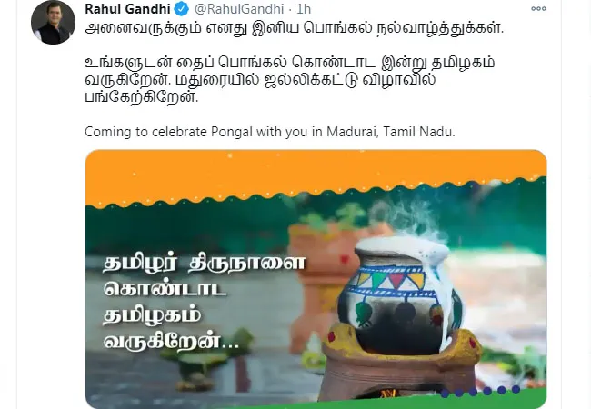 congress party rahul gandhi tweet pongal festival jallikattu 