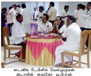all0partymeet