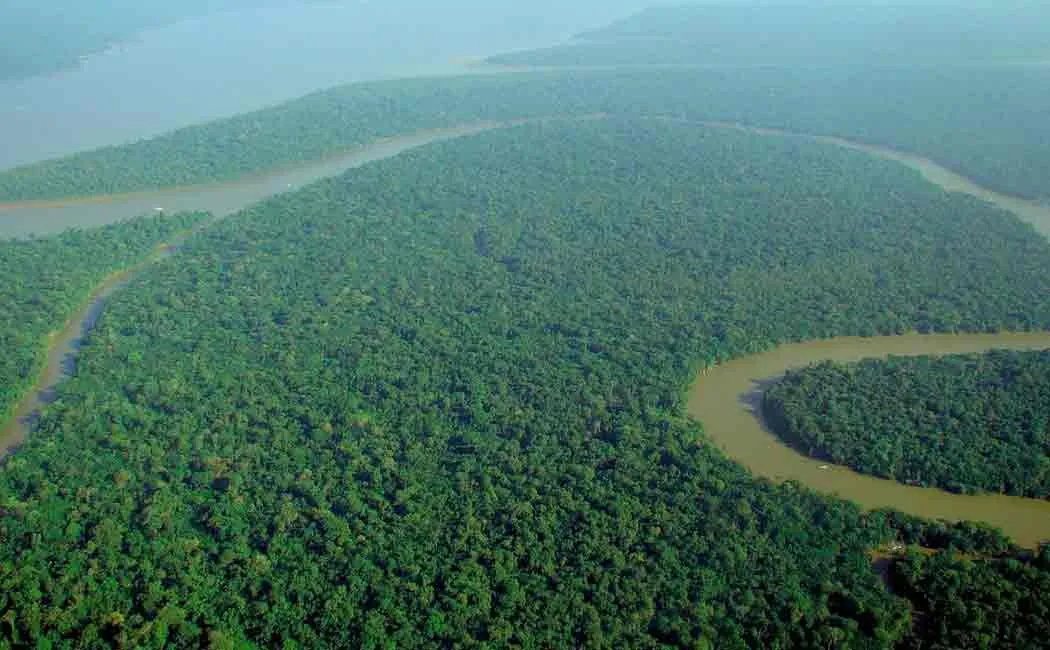 fire fighters send to amazon forest