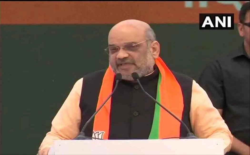 bjp manifesto sankalp patr released by rajnath singh