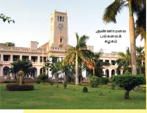 anamaliuniversity