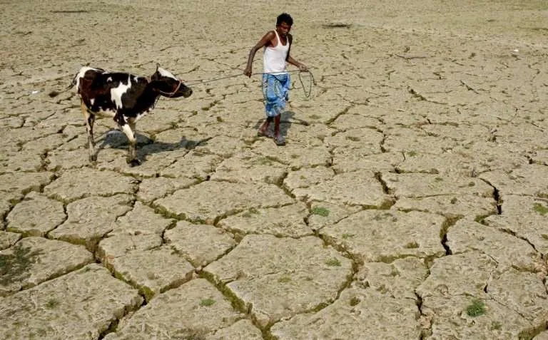 FARMERS DEATH