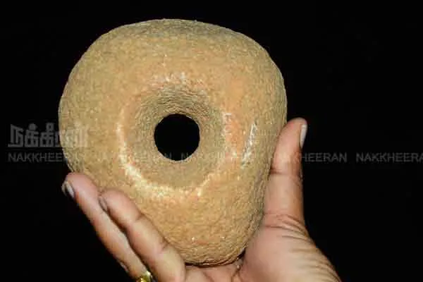 sivagangai nalukottai near ancient stoneage things discovered