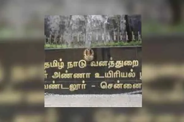 mandous cyclone vandalur zoo minister ramachandran visit 