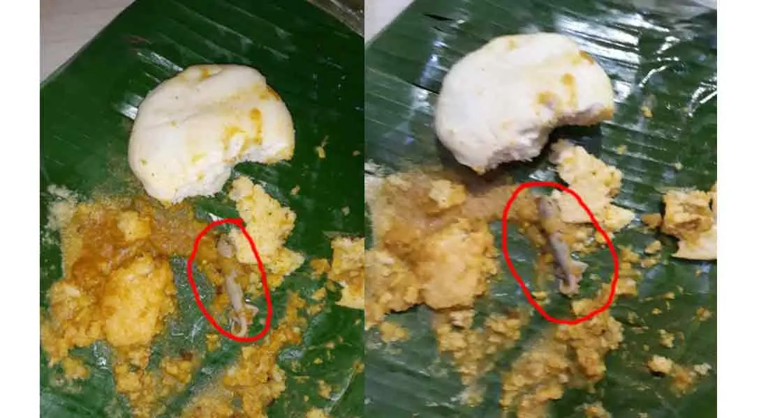 Lizard in sambar..Three persons Dizzy , including a pregnant woman