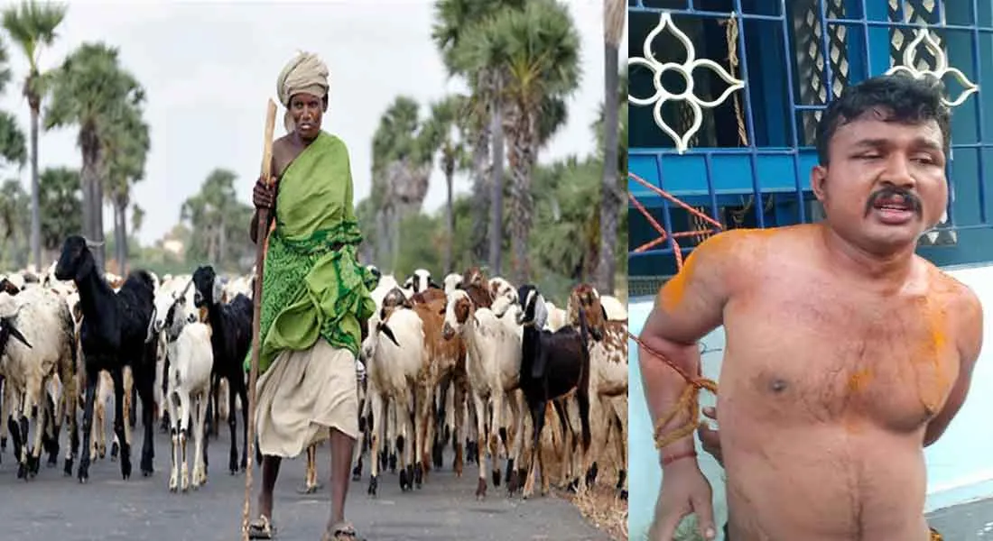    who kidnapped 114 goats using Anesthetic biscuits