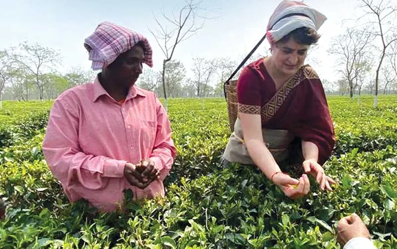 assam