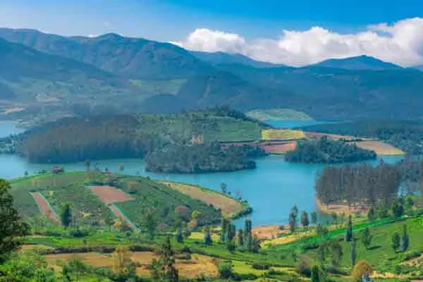 '0' degree Celsius temperature record in Nilgiris