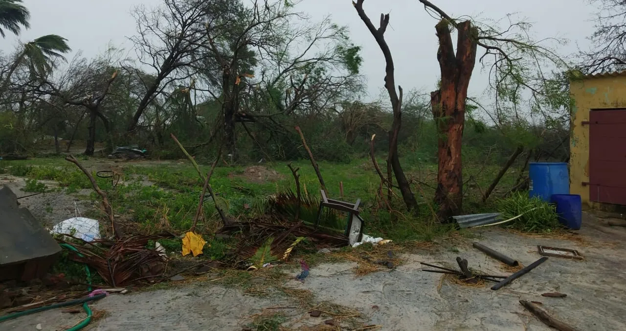What is the government's action on the impact of the Ghaja storm? ; highcourt question!! 