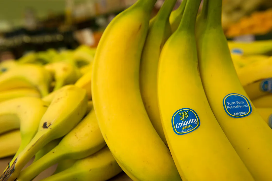 morris banana