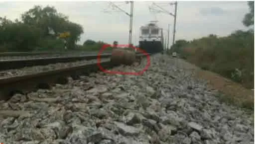 Youth on railway track to earn in YouTube! 