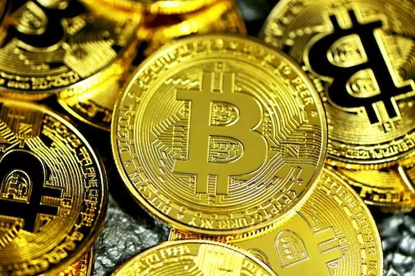 UK woman Threw Away Ex-Boyfriend's Rs 5,900-Crore Bitcoin Fortune In Trash