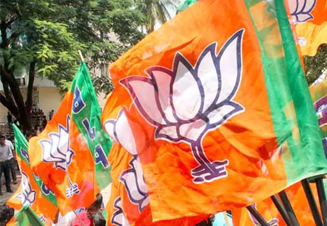 tamilnadu assembly election 2021 bjp and rss leaders 