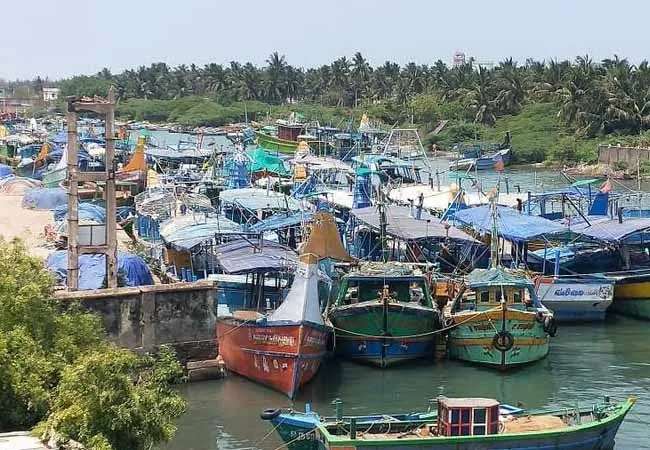 Fishing ban! Fish prices likely to rise 
