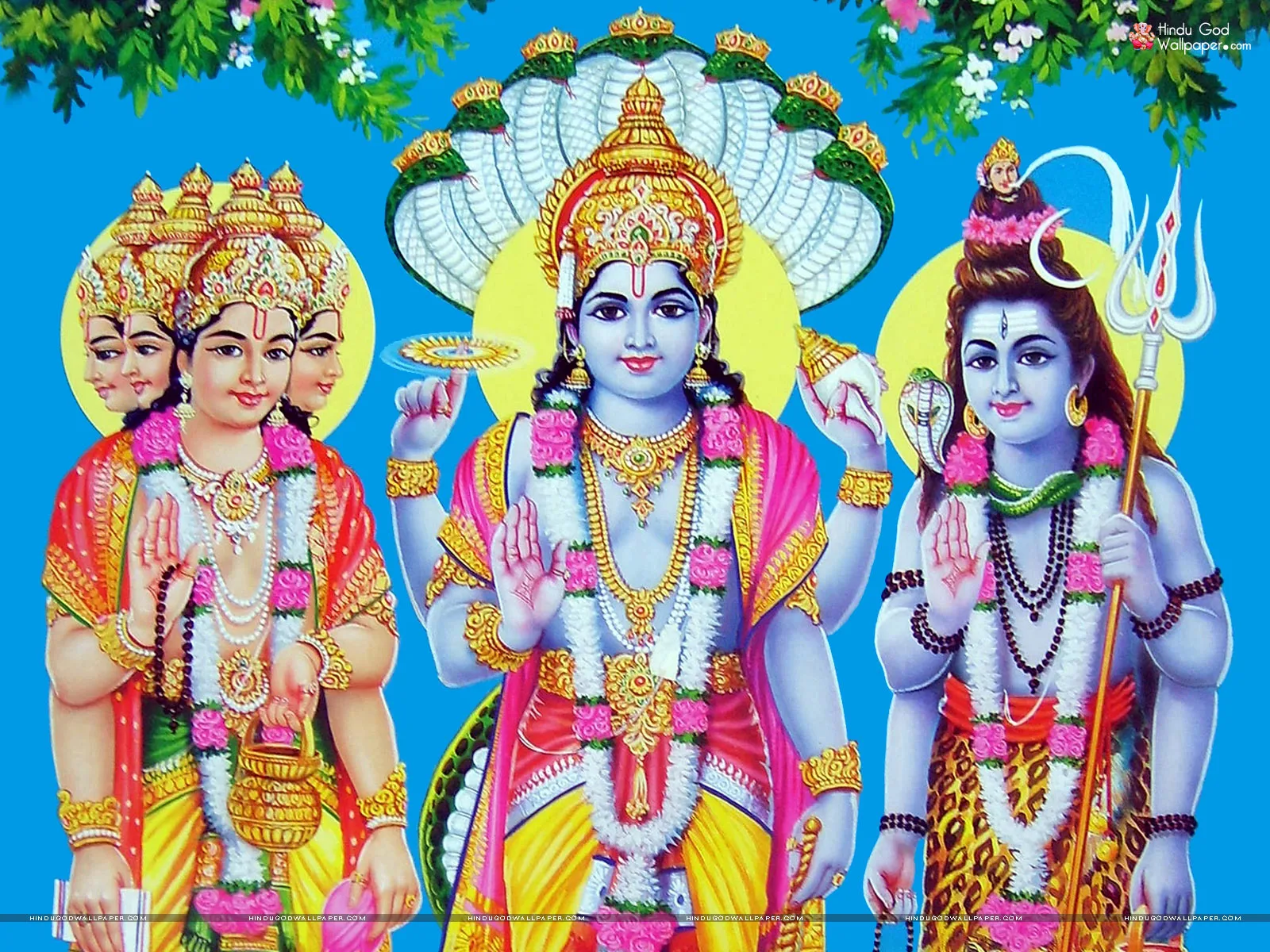 god