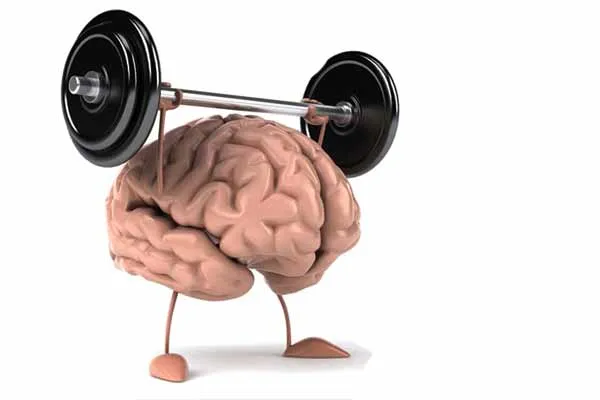 brain
