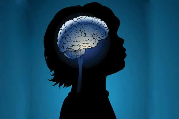 brain