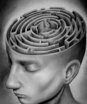 brain