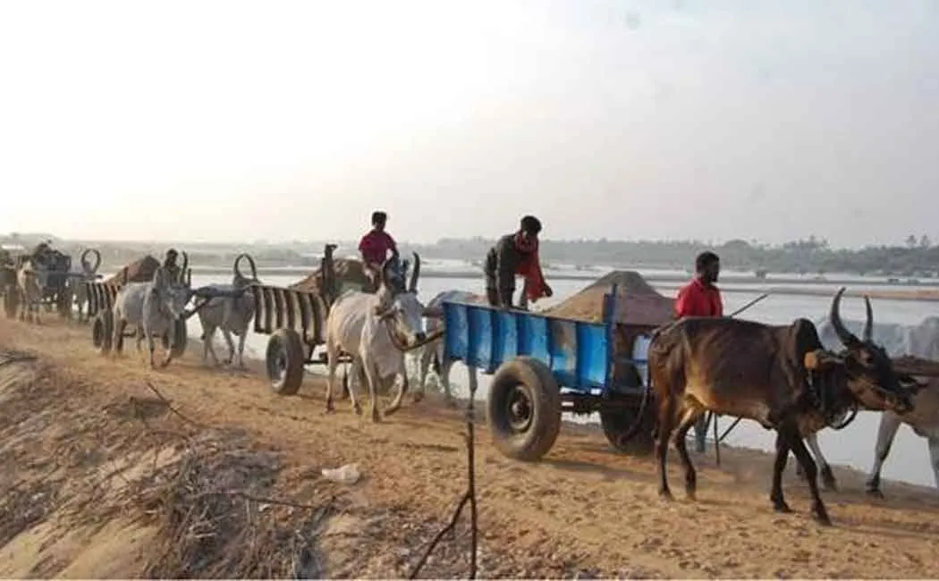 ‘We will engage in road blockade on the sixth date’ - Sand Cattle Workers Announcement