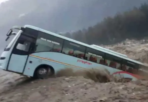bus