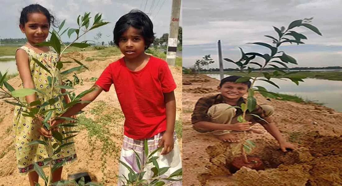 kaja cyclone impact trees thanjavur district peoples and youngsters 
