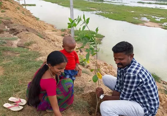 kaja cyclone impact trees thanjavur district peoples and youngsters 