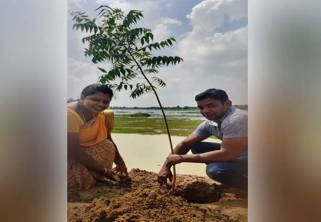 kaja cyclone impact trees thanjavur district peoples and youngsters 