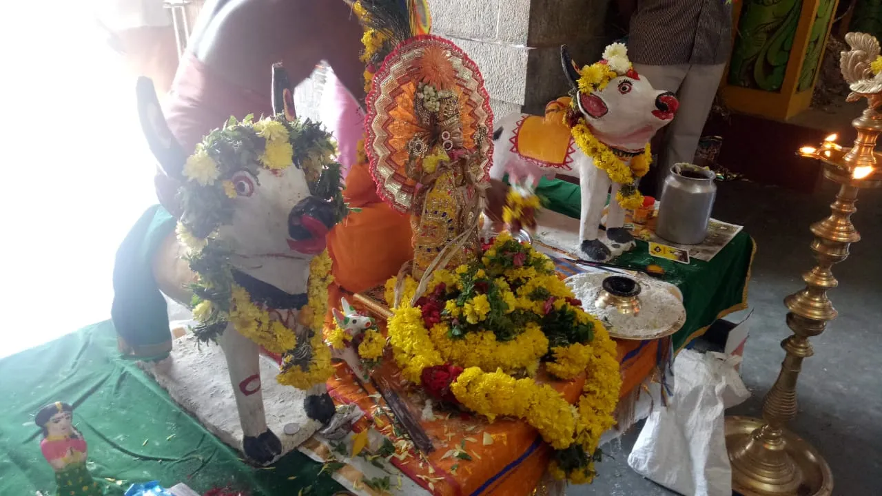  Pongal festivals