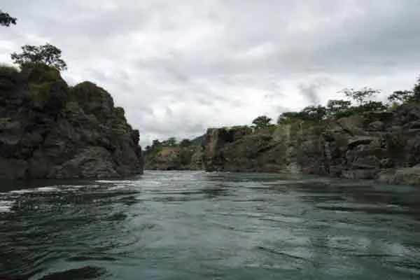 2.5 TMC Water must be opened Cauvery Water Management Committee 