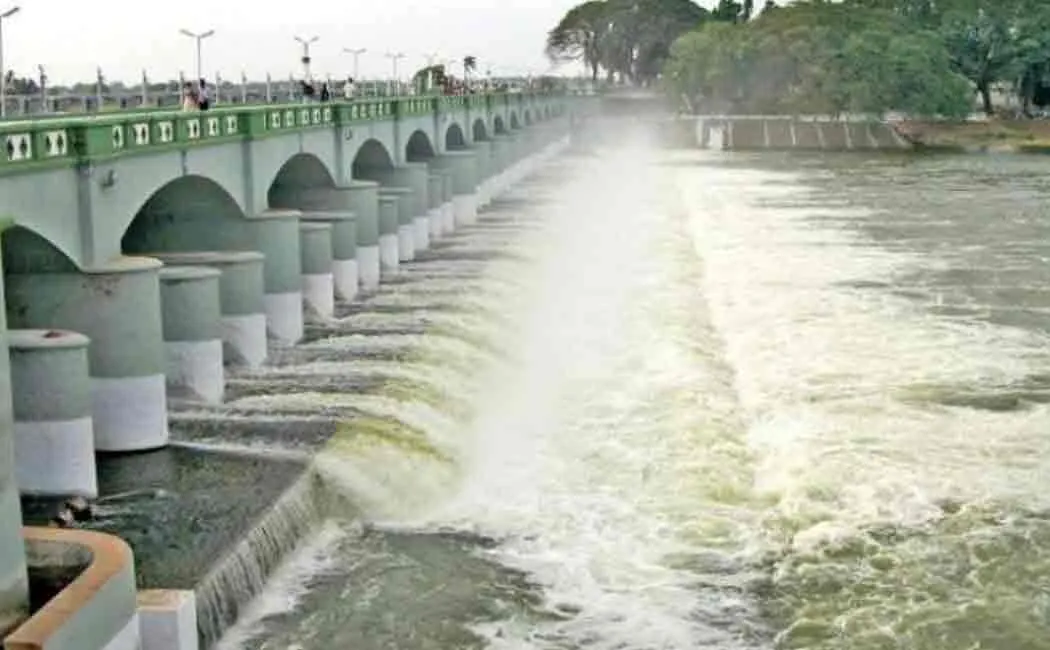 cauvery
