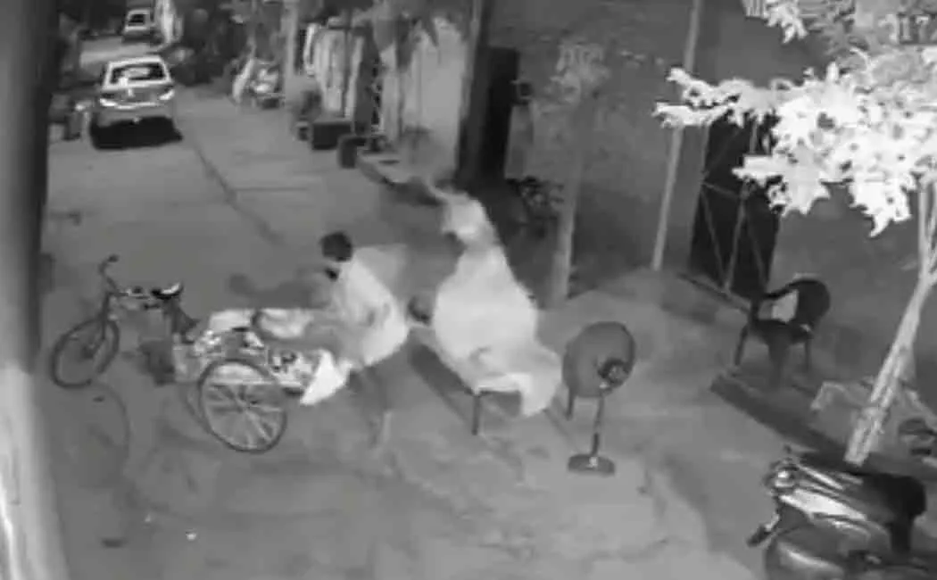 punjab cctv footage