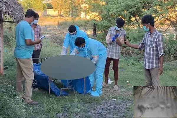 Police investigating Cuddalore dt Chidambaram Annamalai Nagar dogs incident