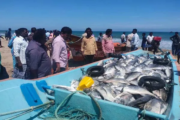 Fisheries officials in action for 1.5 tonnes of fish confiscated 