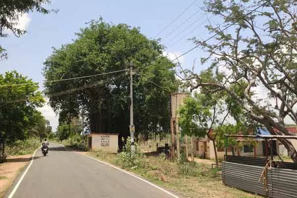 A young man came to an orphanage as if asking for money and stole cell phones