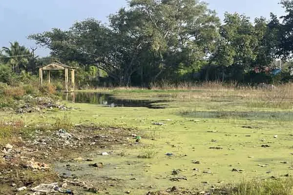 The public cemetery is in a state of disarray making it impossible to bury the corpse