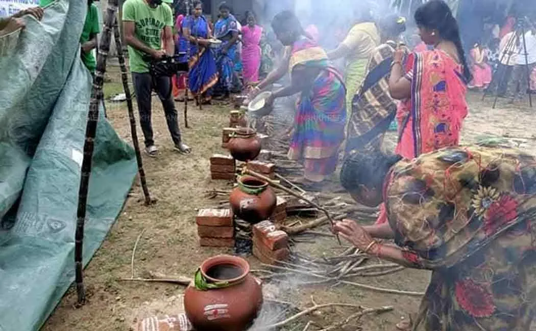 pongal celebrations with forestation 