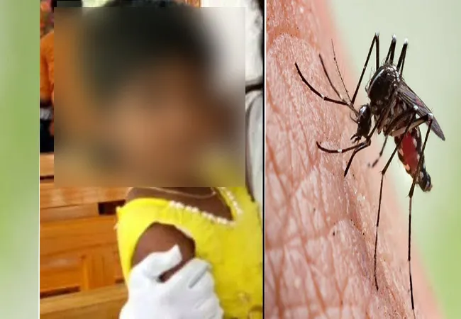 dengue fever ambattur 4 year child incident peoples shock 
