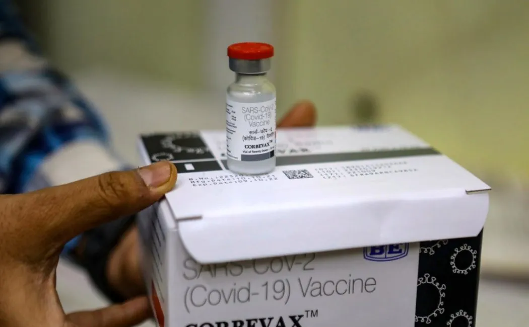 Carbevax Booster Dose Allowed!