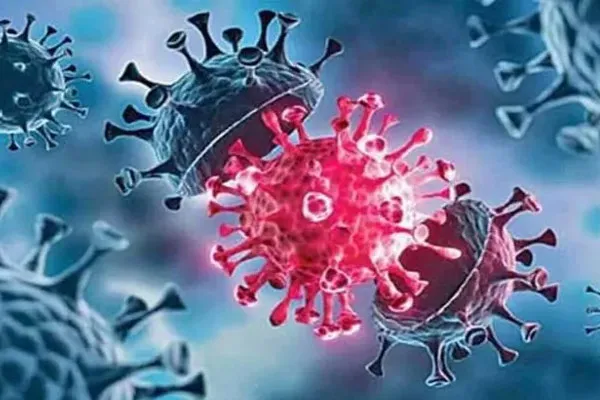 Threatening new type of corona virus  in kerala