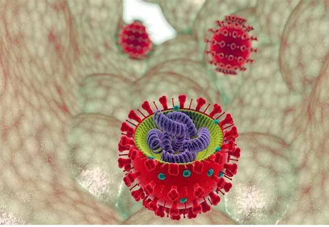 corona virus medicine bird flu fever 