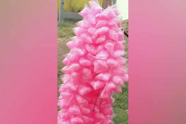Food Safety Department Warning on Cotton Candy Lovers
