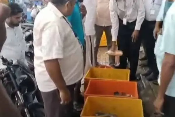 officials take action for Poor fish confiscation