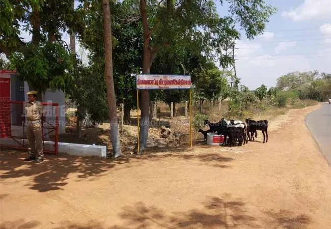  In the summer sun  Of cattle water forest officers 