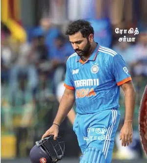cricket