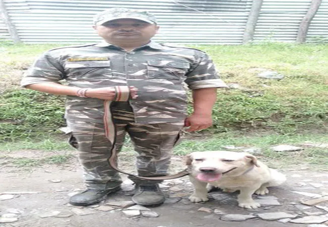 jammu and srinagar high way heavy rain collapse in soil rescued person help to crpf and police dog