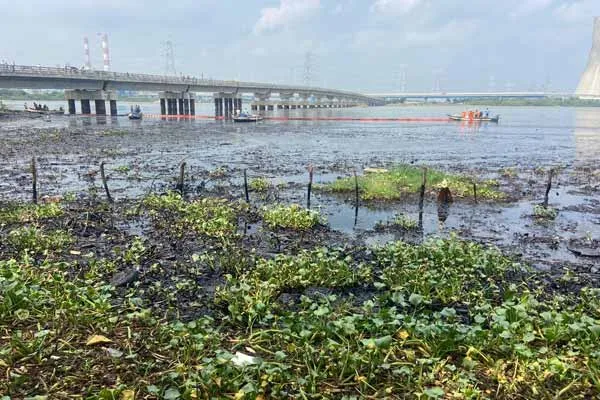 Oil spill issue Fisheries Dept information on grant of relief