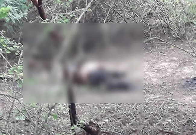 cuddalore girl incident police investigate 