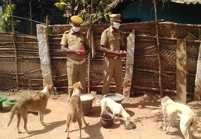pudukkottai police provide foods for dogs 