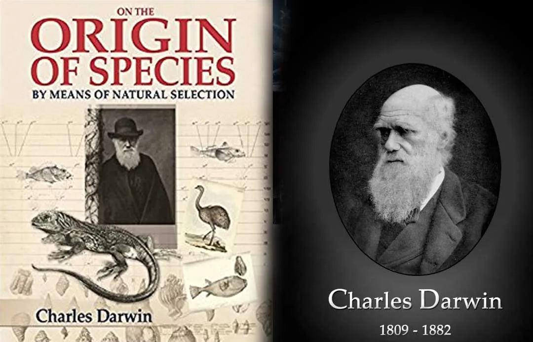darwin 
