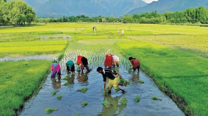  No hydrocarbon project! To the Agricultural Security Zone